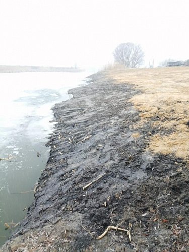 Росприроднадзор выявил факты размещения размываемых грунтов на реке Икорец в Воронежской области