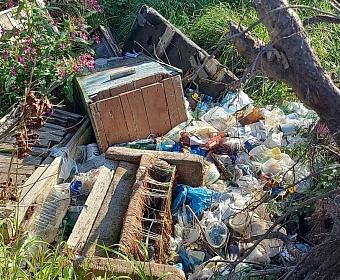 Росприроднадзор выявил несанкционированное размещении отходов в Национальном парке «Себежский»