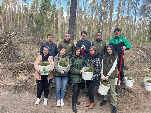 В ходе проведения Международной акции «Сад памяти» в Татарстане сотрудники Росприроднадзора посадили 500 деревьев 