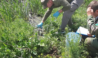 В Волгоградской области «ЖКХ Городищенского района» нанесло ущерб почвам на 14,8 млн рублей