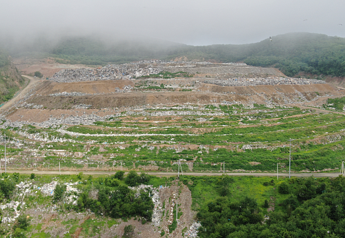 Региональный оператор оплатил более 95 млн рублей по плате за негативное воздействие на окружающую среду 