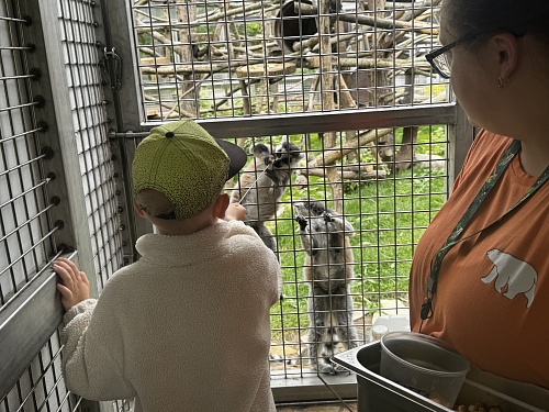 СЗМУ  Росприроднадзора и Ленинградский зоопарк организовали экскурсию для многодетной семьи участника СВО  из Санкт-Петербурга