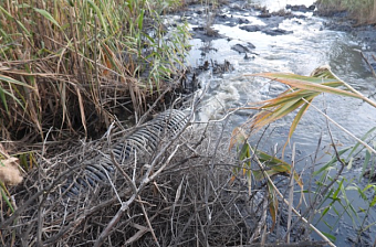 Росприроднадзор добивается возмещения ущерба озеру Сакскому