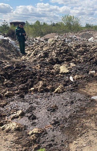 Росприроднадзор проводит контрольные мероприятия по пресечению несанкционированного размещения отходов в районе ИК-9 в Дзержинске