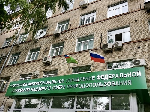 Сотрудники Управления приняли участие во Всероссийской акции «Флаги России»