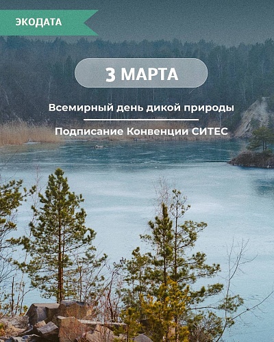 3 марта — Всемирный день дикой природы и Конвенции СИТЕС