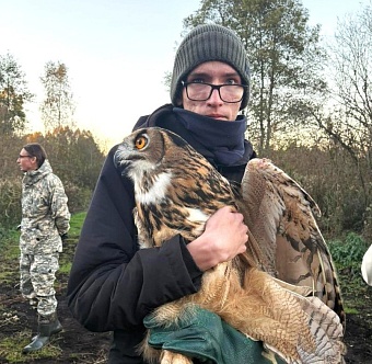 В Калининградской области при участии специалистов Росприроднадзора на волю выпустили трех краснокнижных филинов