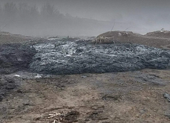 Суд обязал ООО «Фонд «Экология-Дона» заплатить более 285 млн рублей за ущерб почвам