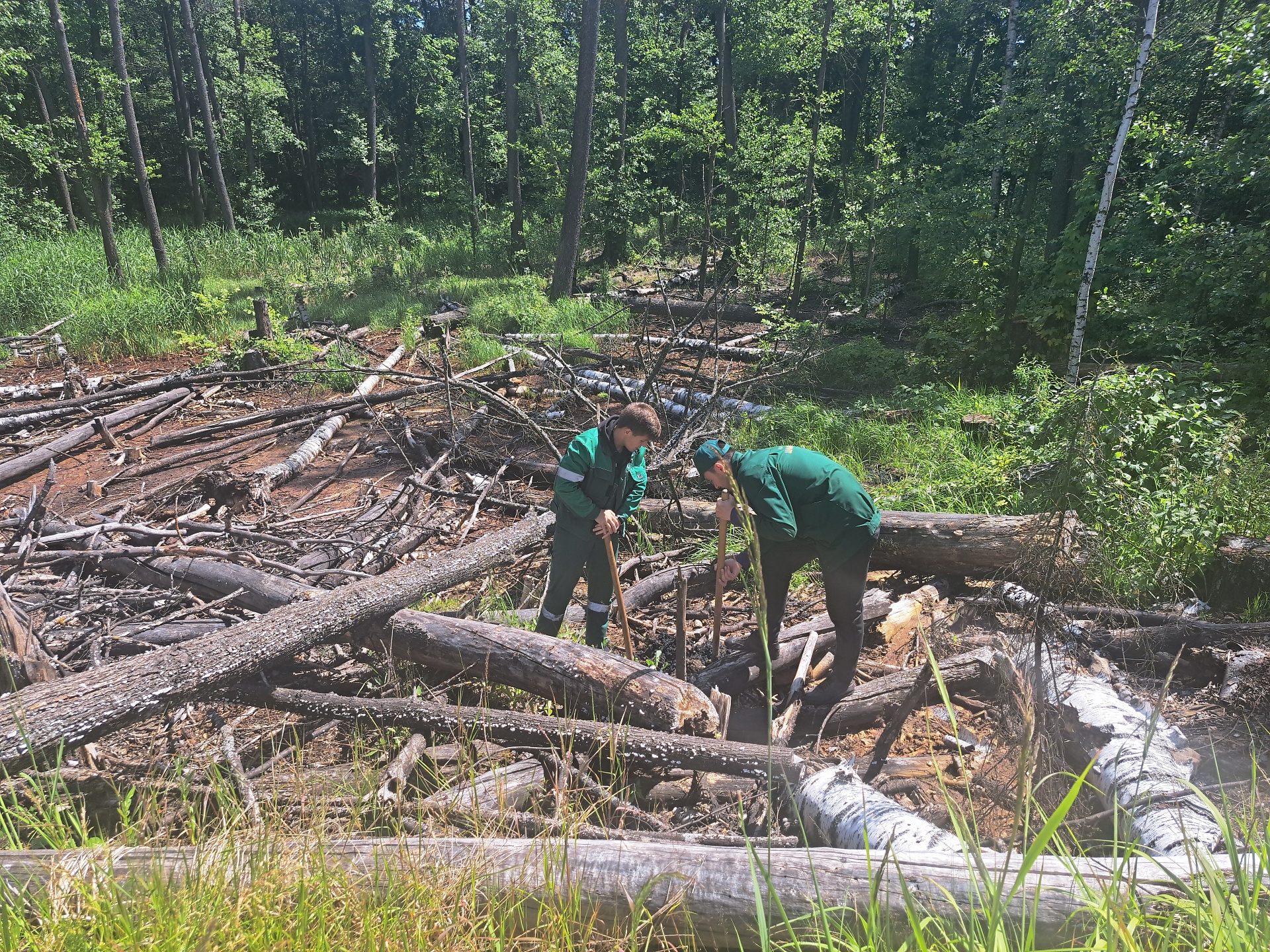 АО «Шелангерский химзавод «Сайвер» причинил вред почвам на сумму более 1,8 млн руб. 