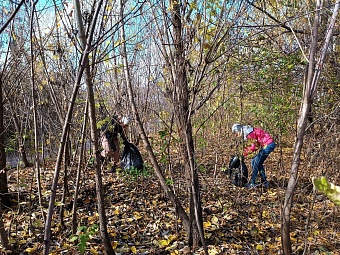 Сотрудники Росприроднадзора провели субботник на территории Республики Алтай