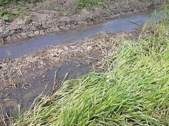 Молочный комплекс обязан возместить экологический ущерб в Краснодарском крае