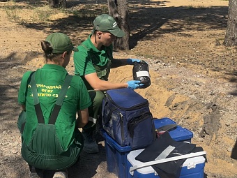 В водоохранной зоне Финского залива незаконно разместили более 84 тонн отходов
