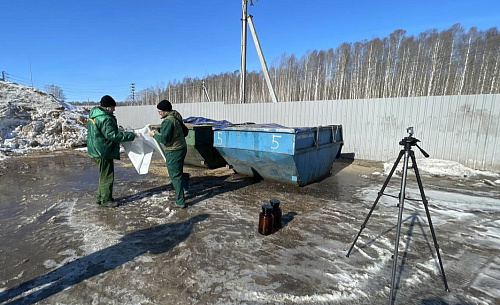 В деятельности нижегородского свинокомплекса выявлены многочисленные нарушения экологических требований
