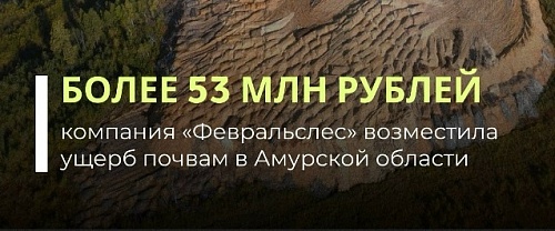 Организация «Февральслес» заплатила более 53 млн рублей за ущерб почвам в Амурской области