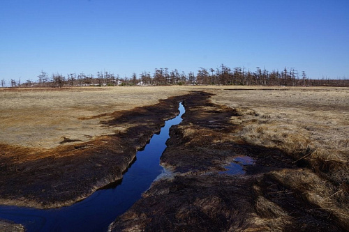 По материалам Росприроднадзора ООО «Лагуна» оштрафовано на 883 тыс. рублей за загрязнение почвы нефтепродуктами