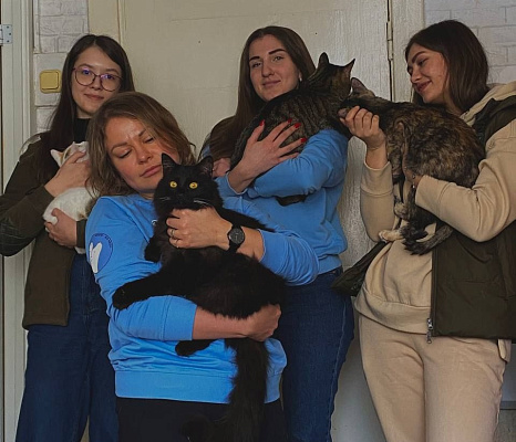 В Самаре сотрудники Росприроднадзора посетили  приют для кошек 