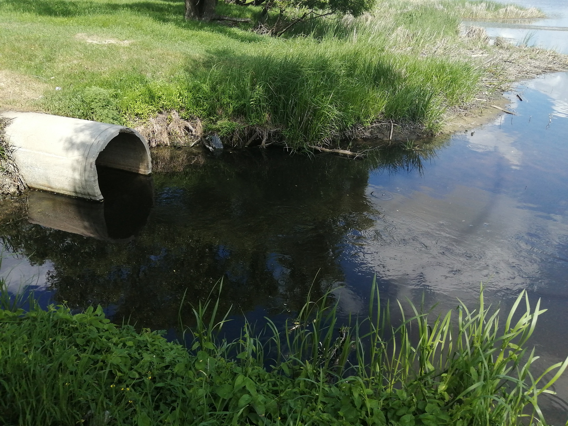 Специалисты Росприроднадзора провели обследование акватории реки Цна в Тамбовской области 