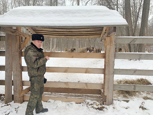 В Мордовском заповеднике инспекторы Росприроднадзора приняли участие в выпуске зубров в естественную среду обитания 