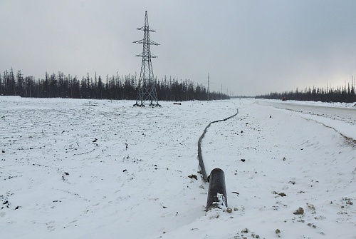 Вред окружающей среде в размере 1 миллион 27 тысяч рублей возмещен нарушителем в добровольном порядке