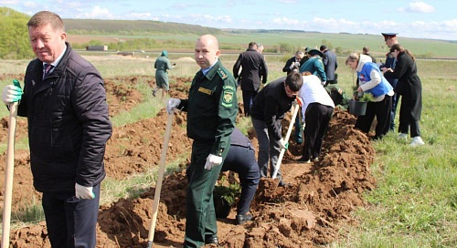Сотрудники Управления Росприроднадзора по Чувашской Республике присоединились к акции «Сад памяти»