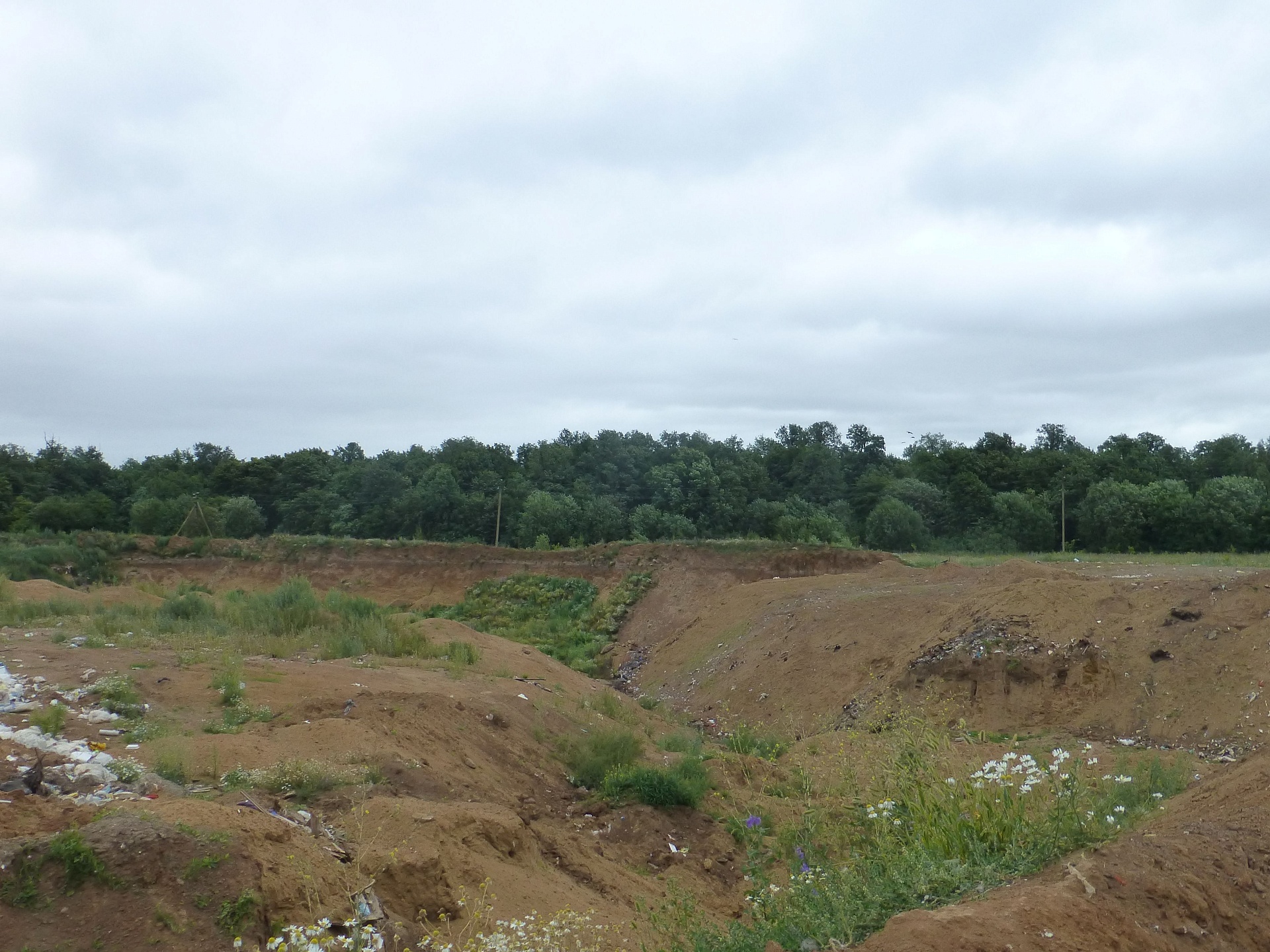 ООО «Мой Дом» исполнило решение суда о взыскании ущерба, причиненного почве, в сумме 2 млн 800 тыс. рублей