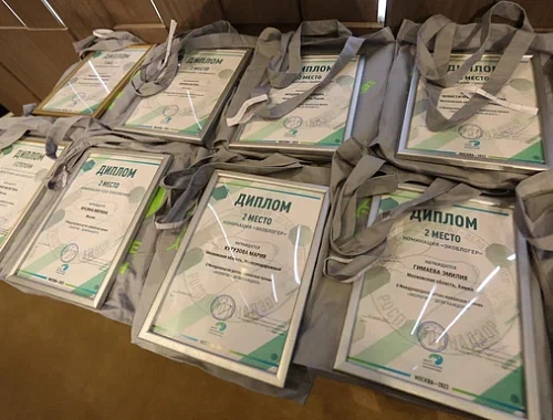 Школьники из Нижегородской области и Республики Мордовия стали победителями Международной детско-юношеской премии «Экология – дело каждого»