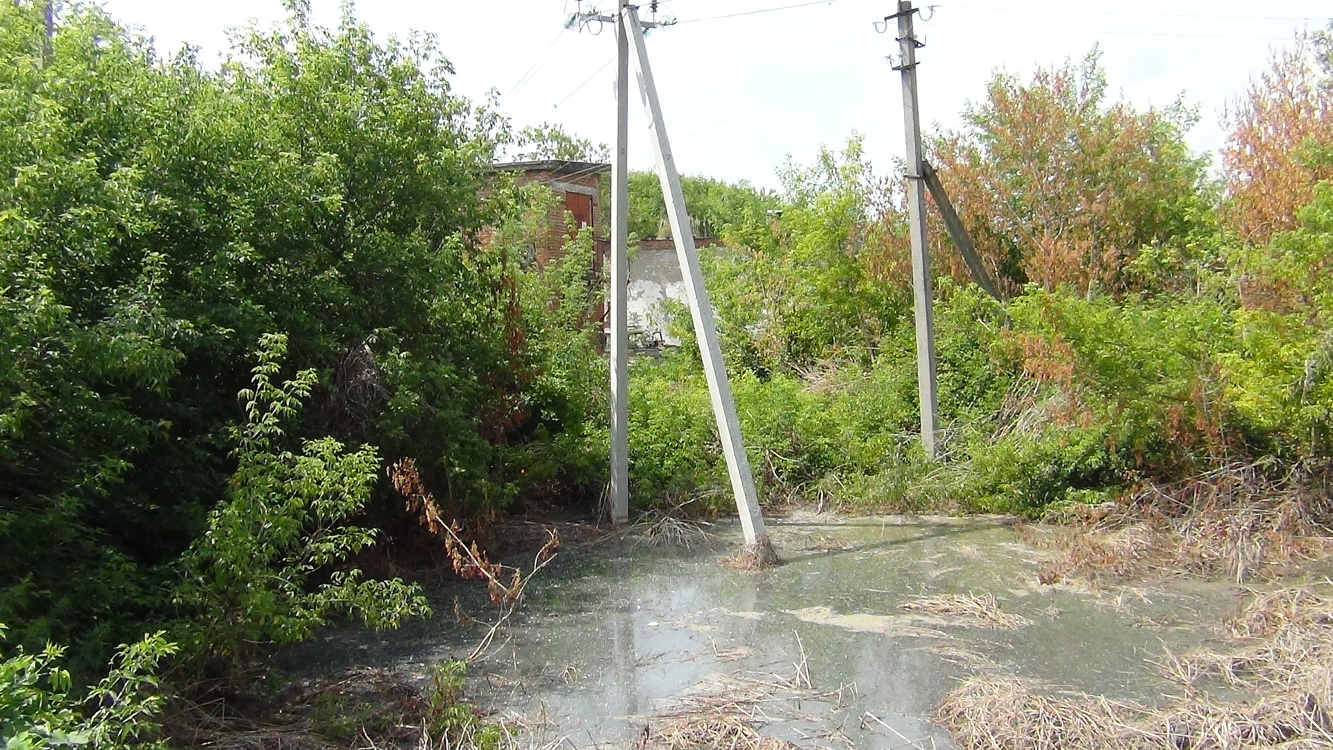 С предприятия ЖКХ взыскан ущерб, причиненный почве, в сумме более 1,79 млн. руб.