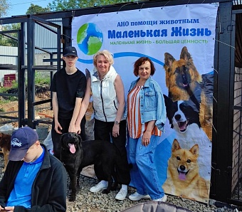 Сотрудники филиала ЦЛАТИ по УФО по Челябинской области посетили центр помощи бездомным животным «Маленькая жизнь»