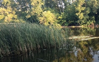 Житель Тамбовской области обязан возместить ущерб почвам на сумму более 3 млн рублей