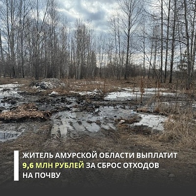 Суды трех инстанций поддержали требование Приамурского межрегионального управления Росприроднадзора о взыскании с жителя Амурской области более 9,6 млн рублей.