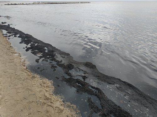 СЗМУ Росприроднадзора проверяет информацию о загрязнении нефтепродуктами Балтийского моря в Зеленоградске