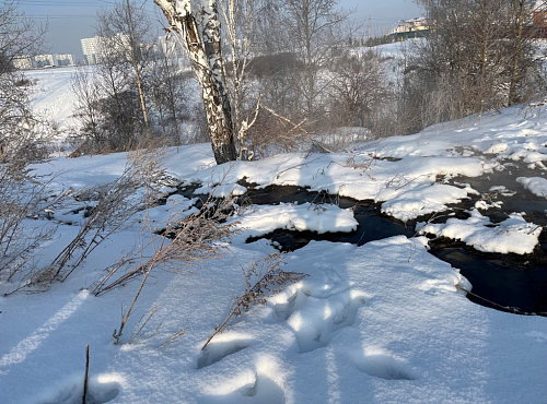Южно-Сибирское управление Росприроднадзора выявило нарушения в деятельности ООО «Энергоресурс» 