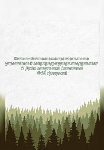 Нижне-Волжское межрегиональное управление Росприроднадзора поздравляет с 23 февраля!