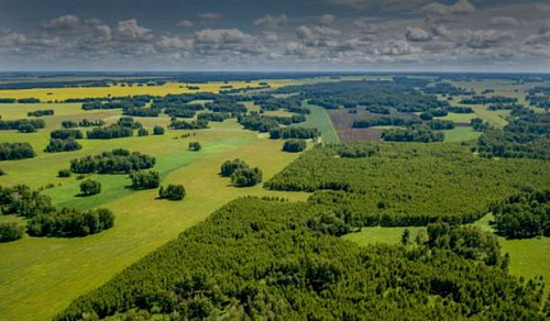 Якутская природоохранная прокуратура разъясняет о существенном изменении законодательства в сфере использования, охраны, защиты, воспроизводства лесов, расположенных на землях сельскохозяйственного назначения