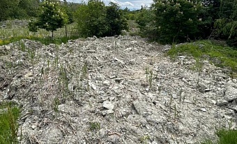 Инспекторы Росприроднадзора выявили нарушения в ходе работ по очистке прудов в Новороссийске