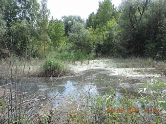 Суд взыскал с ООО «Оптхимэкспорт» более 4,3 млн рублей за вред, причиненный почвам в Воронежской области