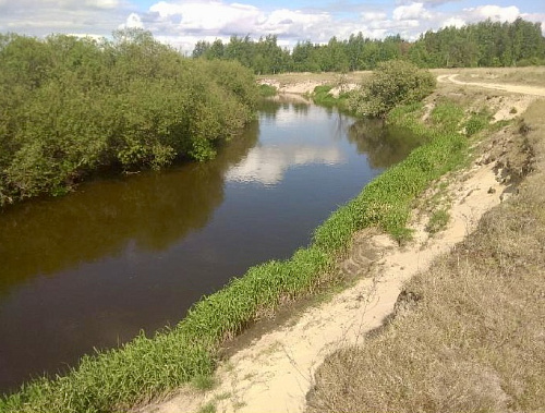 В результате проверки обращения о загрязнении реки Ветьма выявлено нарушение требований пункта 3 части 17 статьи 65 Водного кодекса РФ