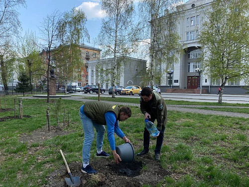 В Новокузнецке сотрудники Росприроднадзора приняли участие в акции «Сад Памяти»