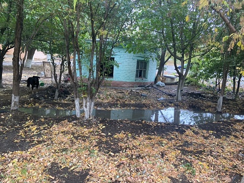 Росприроднадзором приняты меры по факту излива сточных вод в Тракторозаводском районе г. Волгограда