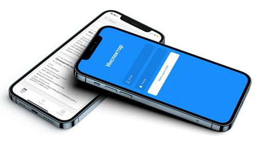 Проведение профилактических визитов и консультаций с использованием мобильного приложения «Инспектор»