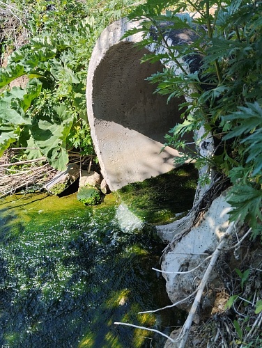 ООО «Тепличный комплекс «Новочебоксарский» причинило вред почвам и водному объекту на сумму более 1,7 млн руб.