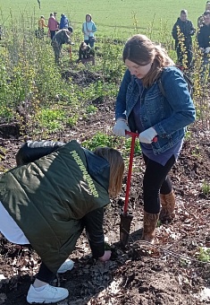 В Смоленской области сотрудники Росприроднадзора приняли участие в международной акции «Сад памяти»