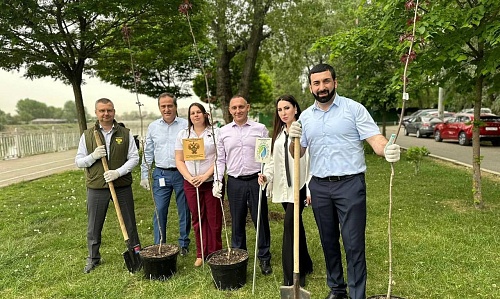 В поддержку международной акции «Сад памяти» сотрудники Росприроднадзора и ЦЛАТИ высадили памятную аллею в Краснодаре