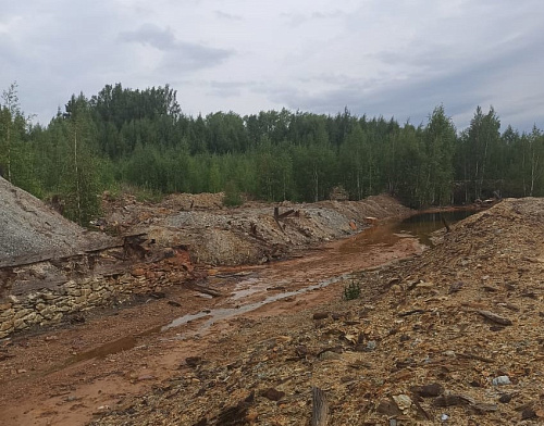 Инспекторы Росприроднадзора провели выездное обследование Белореченского рудника в г. Верхний Тагил в рамках проекта «Генеральная уборка»