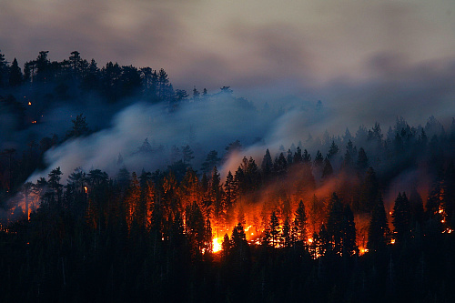 Сведения по лесным пожарам на ООПТ федерального значения, расположенных в Уральском федеральном округе на 07.05.2015