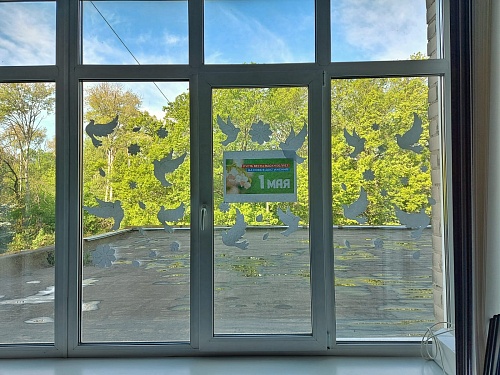 Сотрудники Центрально-Черноземного управления Росприроднадзора готовятся к празднованию 1 мая