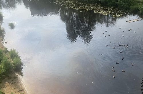 За загрязнение нефтепродуктами реки Коваши назначен штраф   