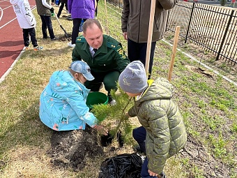 В Новосибирске сотрудники Росприроднадзора вместе с призерами II сезона премии «Экология – дело каждого» посадили сосны
