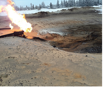 В деятельности ООО «Пурнефть» выявлено 113 нарушений природоохранного законодательства