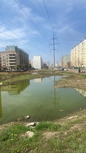 Суд поддержал требования Росприроднадзора о возмещении вреда почвам, в размере 6 951 355 рублей